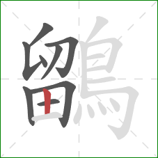 鶹的笔顺第9画：竖