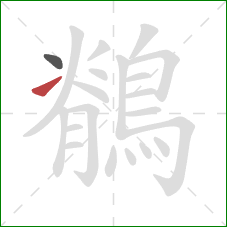 鶺的笔顺第2画：提