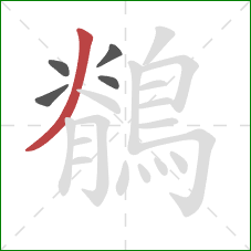 鶺的笔顺第5画：撇