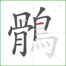 鶻的笔顺第13画：横