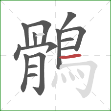 鶻的笔顺第15画：横