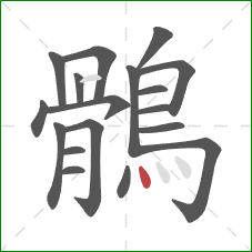 鶻的笔顺第18画：点