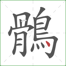 鶻的笔顺第20画：点