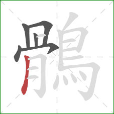 鶻的笔顺第6画：竖