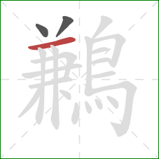 鶼的笔顺第3画：横