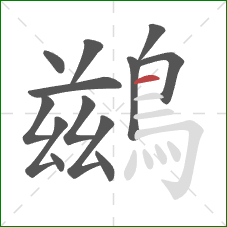 鷀的笔顺第13画：横