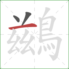鷀的笔顺第3画：横