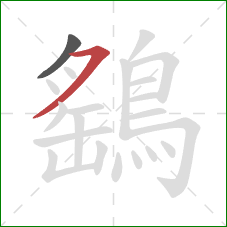 鷂的笔顺第2画：横撇
