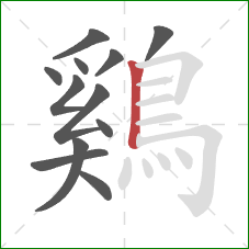 鷄的笔顺第12画：竖