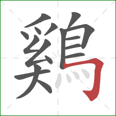 鷄的笔顺第17画：横折钩