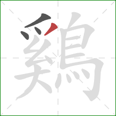 鷄的笔顺第4画：撇
