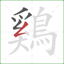 鷄的笔顺第6画：撇折