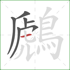 鷉的笔顺第7画：横