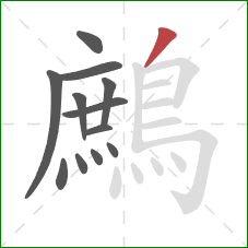 鷓的笔顺第12画：撇
