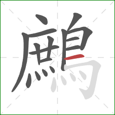 鷓的笔顺第17画：横