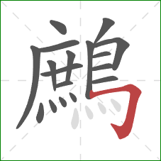鷓的笔顺第18画：横折钩