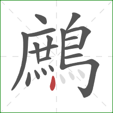 鷓的笔顺第19画：点