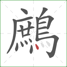 鷓的笔顺第20画：点