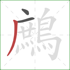鷓的笔顺第3画：撇