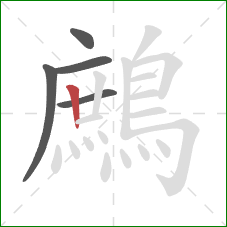 鷓的笔顺第5画：竖