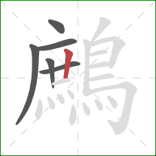 鷓的笔顺第6画：竖