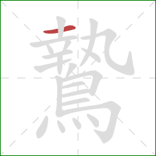 鷙的笔顺第1画:横 鷙的笔顺第1画:横