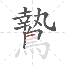 鷙的笔顺第15画:横 鷙的笔顺第15画:横