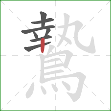 鷙的笔顺第8画:竖 鷙的笔顺第8画:竖