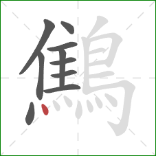 鷦的笔顺第10画：点