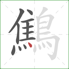 鷦的笔顺第12画：点