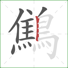 鷦的笔顺第14画：竖
