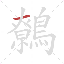 鷯的笔顺第1画：横