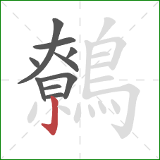 鷯的笔顺第10画：竖钩