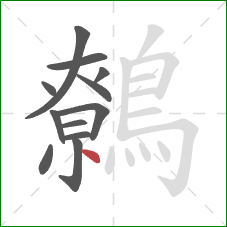 鷯的笔顺第12画：点