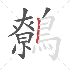 鷯的笔顺第14画：竖