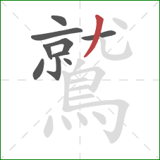 鷲的笔顺第10画：撇