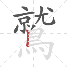 鷲的笔顺第14画：竖