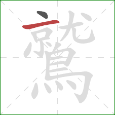 鷲的笔顺第2画：横