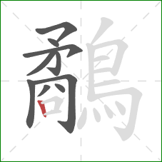 鷸的笔顺第10画：竖