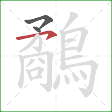 鷸的笔顺第3画：横钩