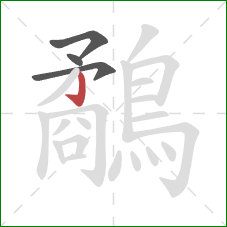 鷸的笔顺第4画：竖钩