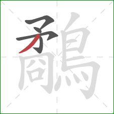 鷸的笔顺第5画：撇