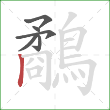 鷸的笔顺第6画：竖