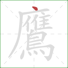 鷹的笔顺第1画：点