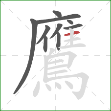 鷹的笔顺第10画：横