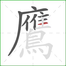 鷹的笔顺第11画：横