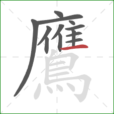 鷹的笔顺第13画：横