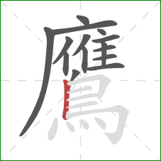 鷹的笔顺第15画：竖