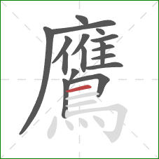 鷹的笔顺第17画：横