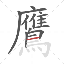 鷹的笔顺第18画：横